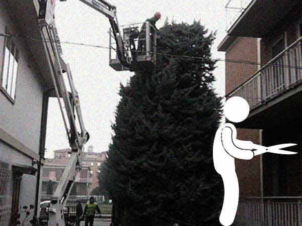 Potatura-alberi-ad-alto-fusto-prati