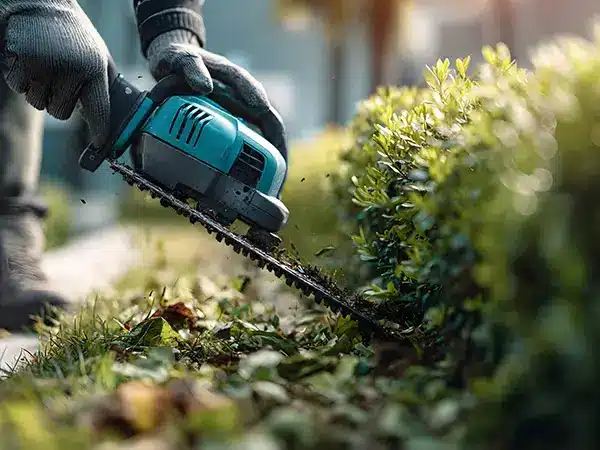 progettazione-giardino-prato-a-rotoli-parma